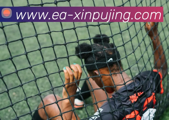 澳门新葡京娱乐平台生态图