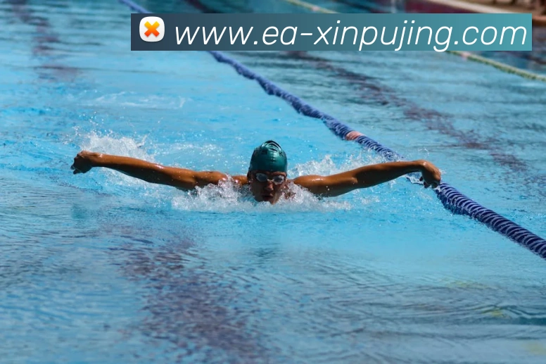 澳门新葡京娱乐APP 封面图